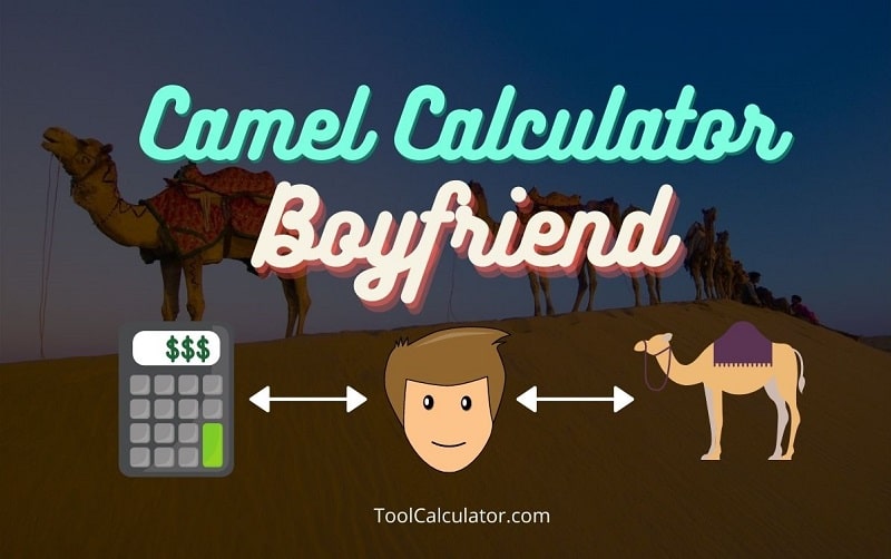 Camel Calculator Boyfriend Main