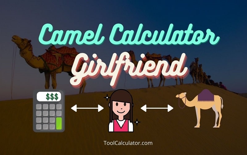 Camel Calculator Girlfriend