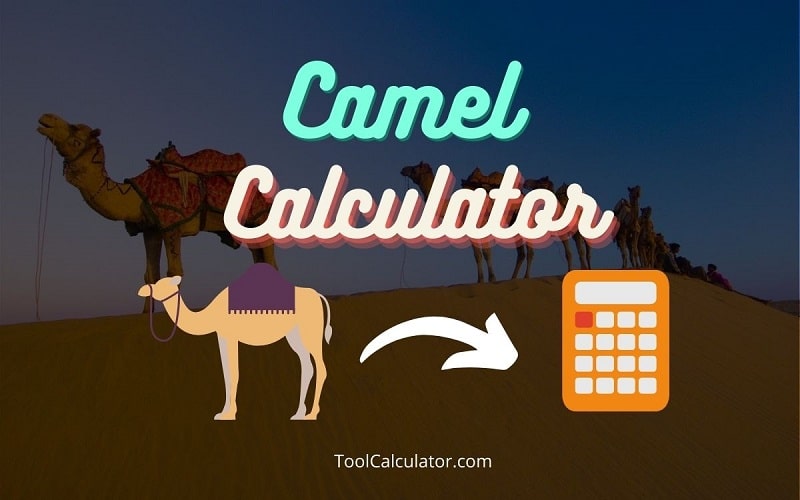 Camel Calculator Main