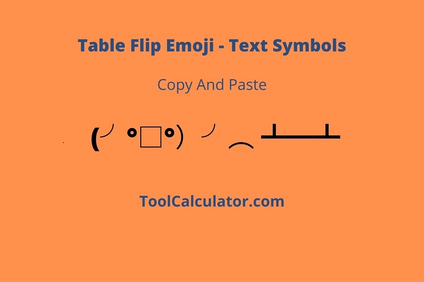 Table Flip (Copy & Paste)